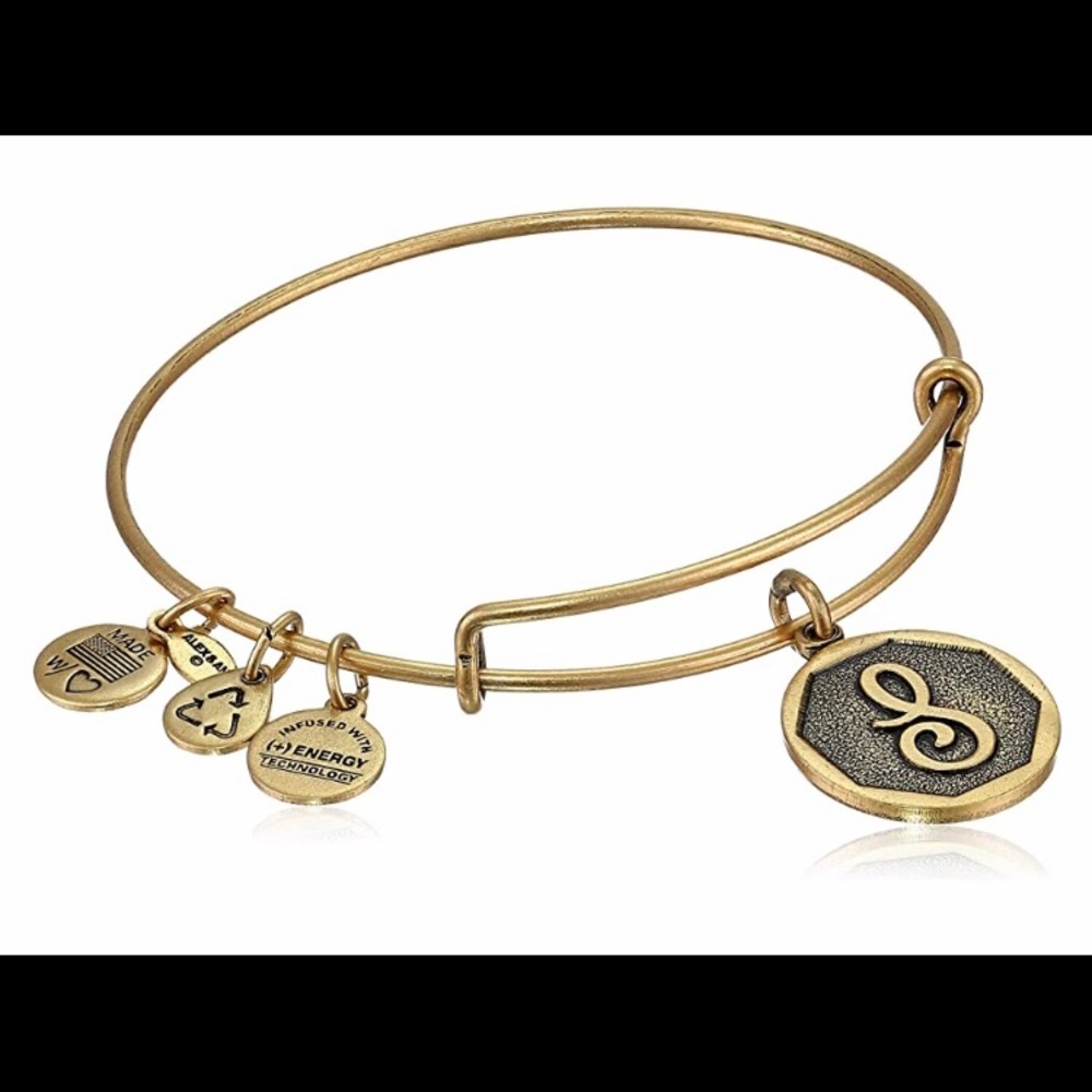 alex and ani “s” initial bangle